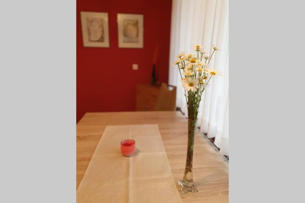 Apartma Kreda Mojstrana Exteriör bild